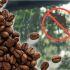 ¿Más mosquitos por la lluvia? El truco del café quemado que ayuda a ahuyentar a estos insectos