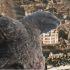 Tráiler de Godzilla Minus One en CinemaCon 2026 desata furor