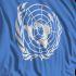 ¿Qué hace Emma Watson en la ONU?