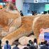 ‘Catzilla’ recibe a pasajeros en la Terminal 1 del aeropuerto de Hong Kong.