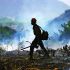 A US Forest Service firefighter sets a controlled burn as the Post Fire burns through Castaic, California, June 16, 2024. The fire has grown to 12,265 acres, and continues to move southeast of Pyramid Lake, according to the US Department of Agriculture Forest Service at Angeles National Forest. (Photo by David SWANSON / AFP)
