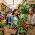 Dónde comprar plantas bonitas y baratas CDMX