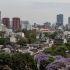 cdmx