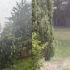 Para este miércoles y jueves se espera que siga el calor, pero con lluvias aisladas por la tarde