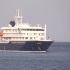 La OMS puso bajo vigilancia la variante Andes del hantavirus tras un brote en el crucero MV Hondius, considerada la más letal y con transmisión entre humanos.
