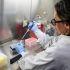 Científica del Instituto Malbrán manipula muestras para diagnosticar el hantavirus Andes, en Buenos Aires. Argentina registra un aumento de casos, aunque no un brote, tras un foco de infección en el crucero MV Hondius donde que ha causado la muerte de tres pasajeros.