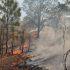 incendio forestal
