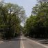Ciudad de MÃ©xico a 7 de mayo de 2026. Aspectos de Ã¡rboles en la zona de Colonia del Valle y Narvarte de la AlcaldÃ­a Benito JuÃ¡rez. En la imagen el Eje 4 Benjamin Franklin en la colonia Escandon. Foto: Alejandro Aguilar