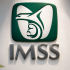 imss logo excelsior