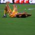 Tigres dejó ir una ventaja de dos goles del juego de ida para quedarse fuera debido a la posición en la clasificación de la fase regular.
