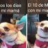 Foto: Redes sociales