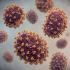 Una vacuna contra el hantavirus está lejos