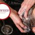Profeco revisó limpieza, etiquetado y acondicionamiento en shampoos masculinos; este producto quedó entre los mejores.
