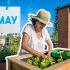 ¿Qué sembrar en mayo? Las mejores frutas y verduras para tu huerto en casa