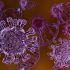 Autoridades europeas rastrean pasajeros y contactos relacionados con el brote del virus Andes.
