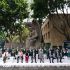 IMSS