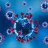 El virus Andes puede transmitirse entre humanos bajo ciertas condiciones.