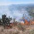 Hidalgo acumula cerca de 120 incendios forestales, los cuales han provocado daños en aproximadamente tres mil hectáreas