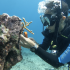 Salvan corales y rescatan infancias vulnerables en el Caribe mexicano