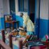 Emergencia internacional tras brote de ébola en el Congo y Ruanda