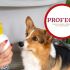 Veterinarios advierten que los shampoos humanos pueden irritar la piel canina.
