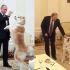 Los perros raza Akita inu son símbolo de lealtad y protección en Japón.