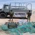 La acción se desarrolló al sur de Puertos Peñasco en inmediaciones del “Desemboque”, donde se localizaron y aseguraron diversas redes de enmalle.