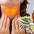 Plantas medicinales para la tiroides
