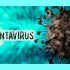 Hantavirus de los Andes: ¿Cómo se contagia y cómo identificar los síntomas?