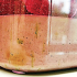 Un experimento con piedra pómez, agua y QBLOCK en un recipiente cerrado, muestra la aparición de burbujas y materia orgánica.