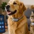 El collar asegura traducir lo que tu mascota te quiere decir