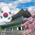 Qué lugares visitar en Corea del Sur: Tips para viajar como local