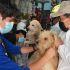 Los animales fueron trasladados al hospital veterinario de la Ciudad de México para recibir atención médica,