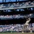 Fernando Tatis rompió una sequía de 55 juegos sin cuadrangular al conectar un jonrón de 451 pies ante los Nacionales de Washington, el primero de su temporada con los Padres de San Diego.