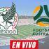 Javier Aguirre y la Selección Mexicana disputará su penúltimo partido previo al Mundial 2026.