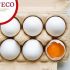 El análisis consideró aspectos como frescura, proteína, colesterol y calidad sanitaria.