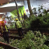 Debido a este incidente se suspendió el paso de trenes en el tramo que va de Estadio Azteca a Xochimilco.