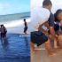 Familiares y bañistas ayudaron a rescatar a la joven de 19 años tras el ataque ocurrido frente a la costa de Recife.