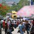 MAESTROS TOMAN TAR-PEMEX