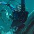 Tráiler de Whalefall: la historia del buzo Austin Abrams dentro de una ballena gigante