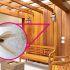 ¿Cómo eliminar las polillas de la madera?
