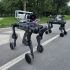 Los perros robot cuentan con un avanzado sistema de videograbación y visión nocturna, crucial para operaciones en diversas condiciones de iluminación.