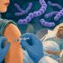 El neumococo es una bacteria milenaria