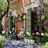 Por todo el barrio de San Ángel se desplegarán exposiciones florales, venta de plantas, talleres y gastronomía