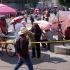 Manifestaciones