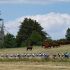 Tour de Francia 2026: Etapa 11, ¿para qué perfil de ciclistas es ideal?