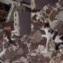 El gato fue grabado buscando en distintos puntos del inmueble destruido por los sismos.