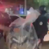 Autoridades desmantelaron en Venustiano Carranza un centro de embalaje de droga que usaba viajes por aplicación para distribuir narcóticos.