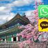 ¿Por qué no usan WhatsApp en Corea del Sur?