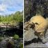 Descubren restos óseos y cerámica antigua en el cenote Yaakun de Quintana Roo